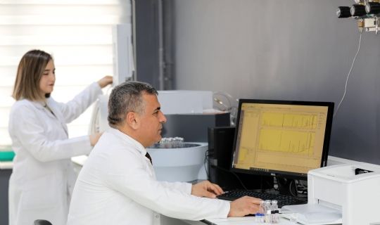 GAÜN-FİTOTABAUM ULUSLARARASI ARENADA SÖZ SAHİBİ OLACAK