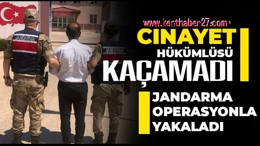 Cinayet Hükümlüsü Jandarmadan Kaçamadı!