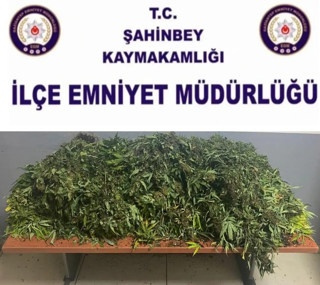 Gaziantep’te çok sayıda silah ve yüklü miktarda uyuşturucu ele geçirildi