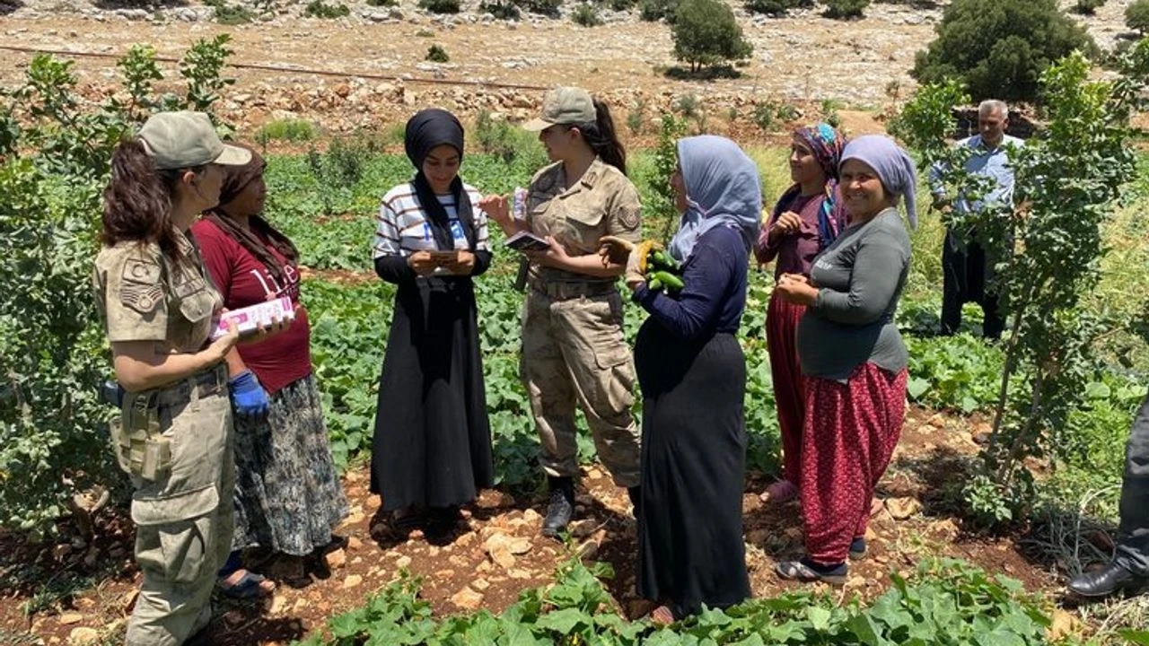 Gaziantep’te Jandarma Uyardı! Cezai İşlem Uygulanacak