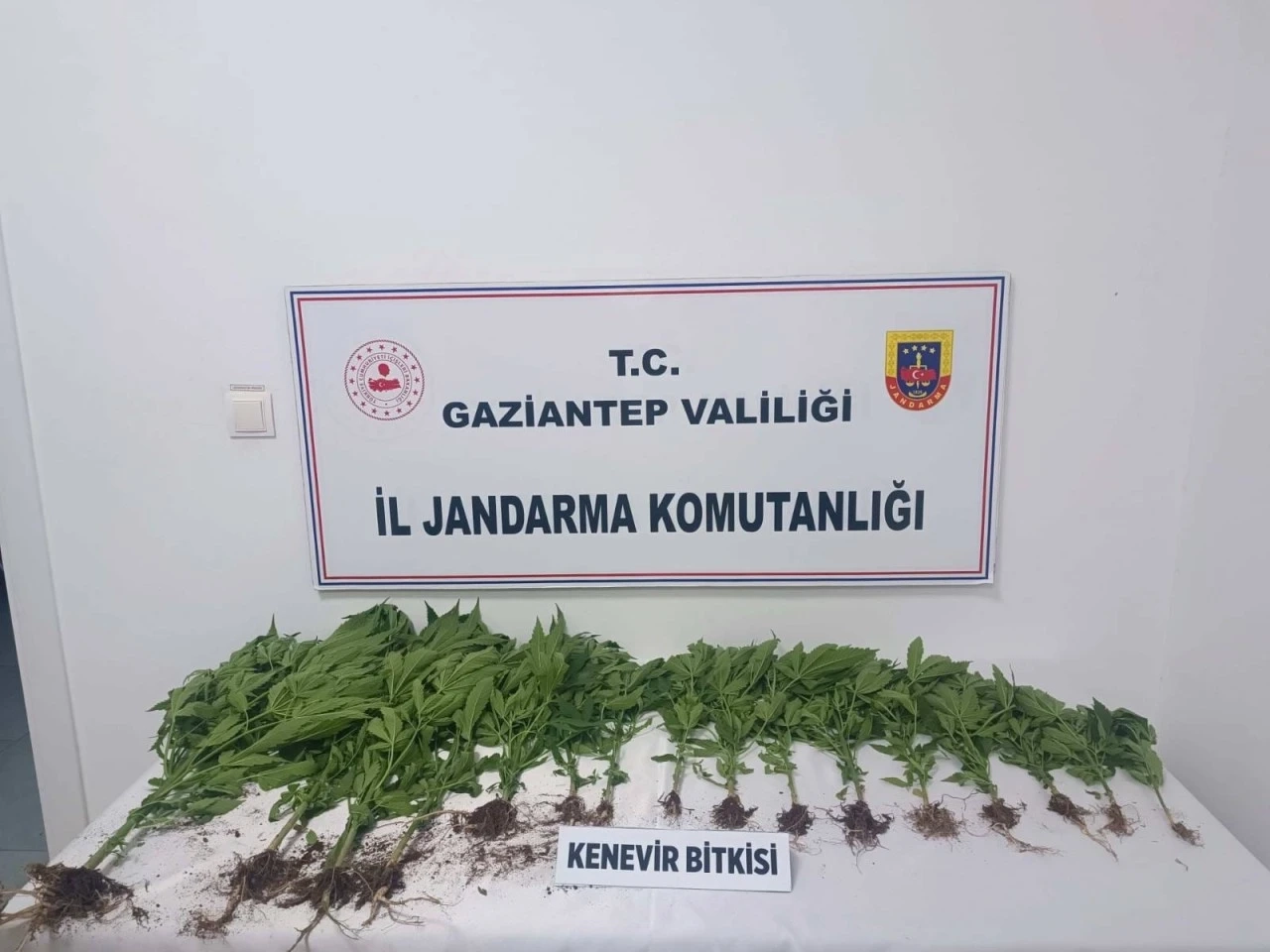Gaziantep'te Jandarmadan Uyuşturucu Operasyonu: 14 Şüpheli Gözaltına Alındı