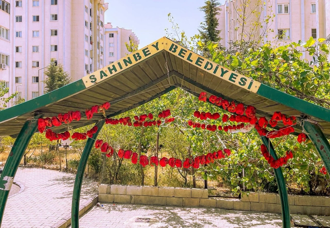 "Gaziantep’te Kurutmalık Mevsimi: Balkonlar ve Sokaklar Rengarenk"