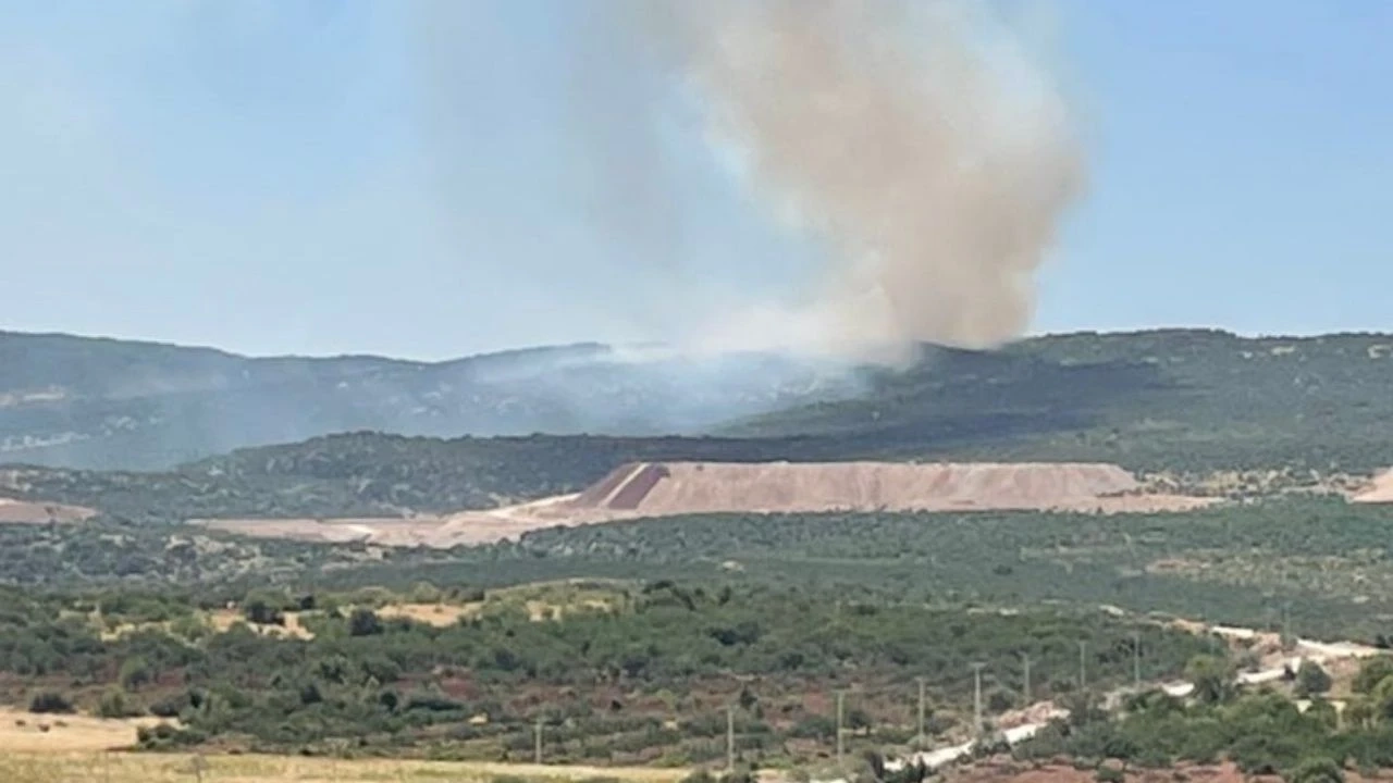 Gaziantep’te orman yangını! Ciğerlerimiz yanıyor…