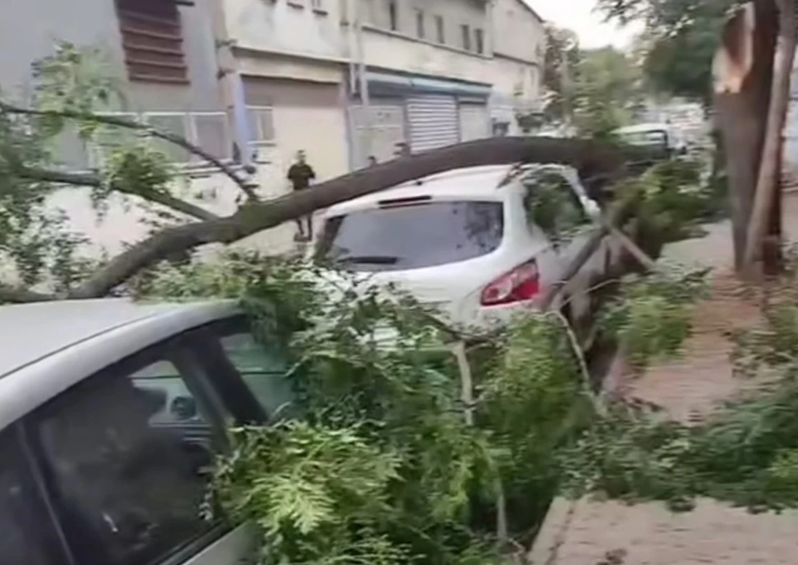 Gaziantep'te şiddetli fırtına: Ağaçlar devrildi, araçlar zarar gördü, toz bulutu etrafı kapladı