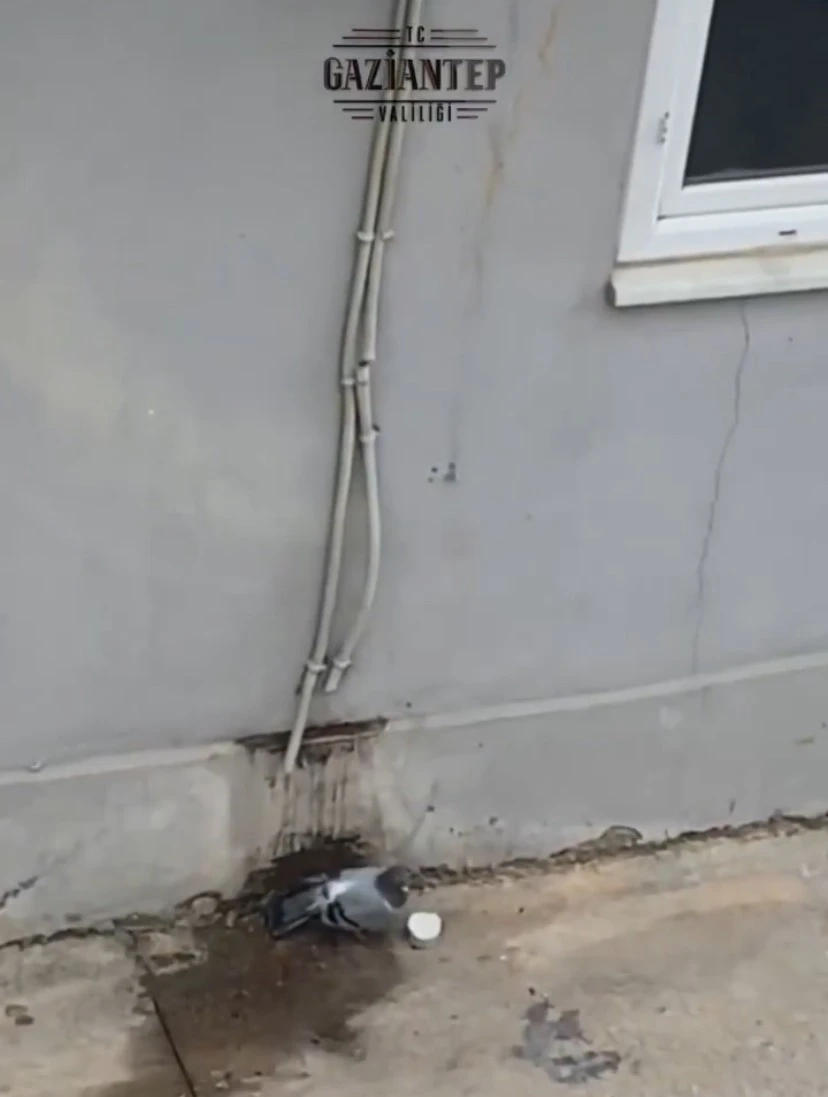 Kavurucu Sıcaklarda Yüreklere Serinlik: Polis Memurundan Kuşa Merhamet Eli
