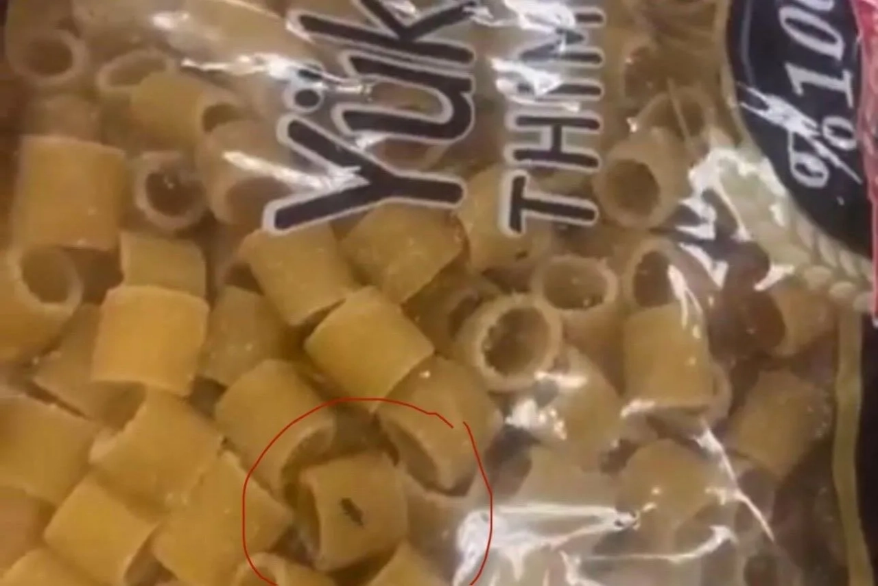 Makarnadan Çıkan Böcek Krizi! Şahinbey Belediyesi Hızla Müdahale Etti