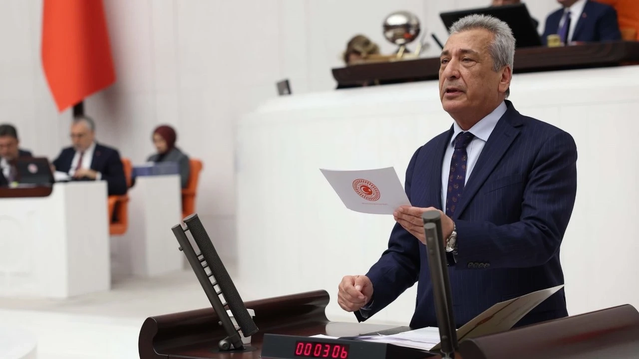 Öztürkmen: Ormanlarımız Bakanlık Eliyle Yağmalanıyor
