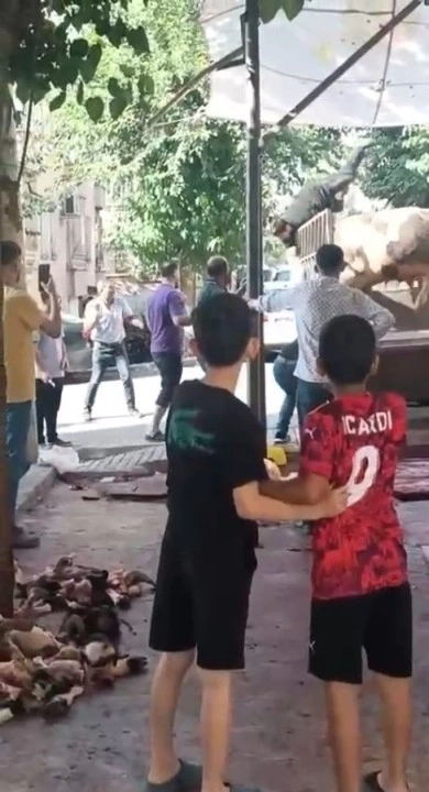 Şanlıurfa'da Boğa Paniği: Kasabın Zor Anları Kamerada