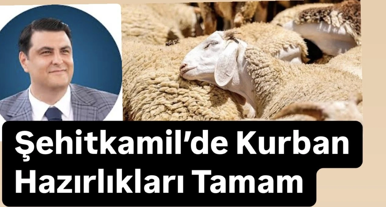 Şehitkamil’de Kurban Hazırlıkları Tamam. Belediye 10 bin kurban satacak, İşte fiyatlar.