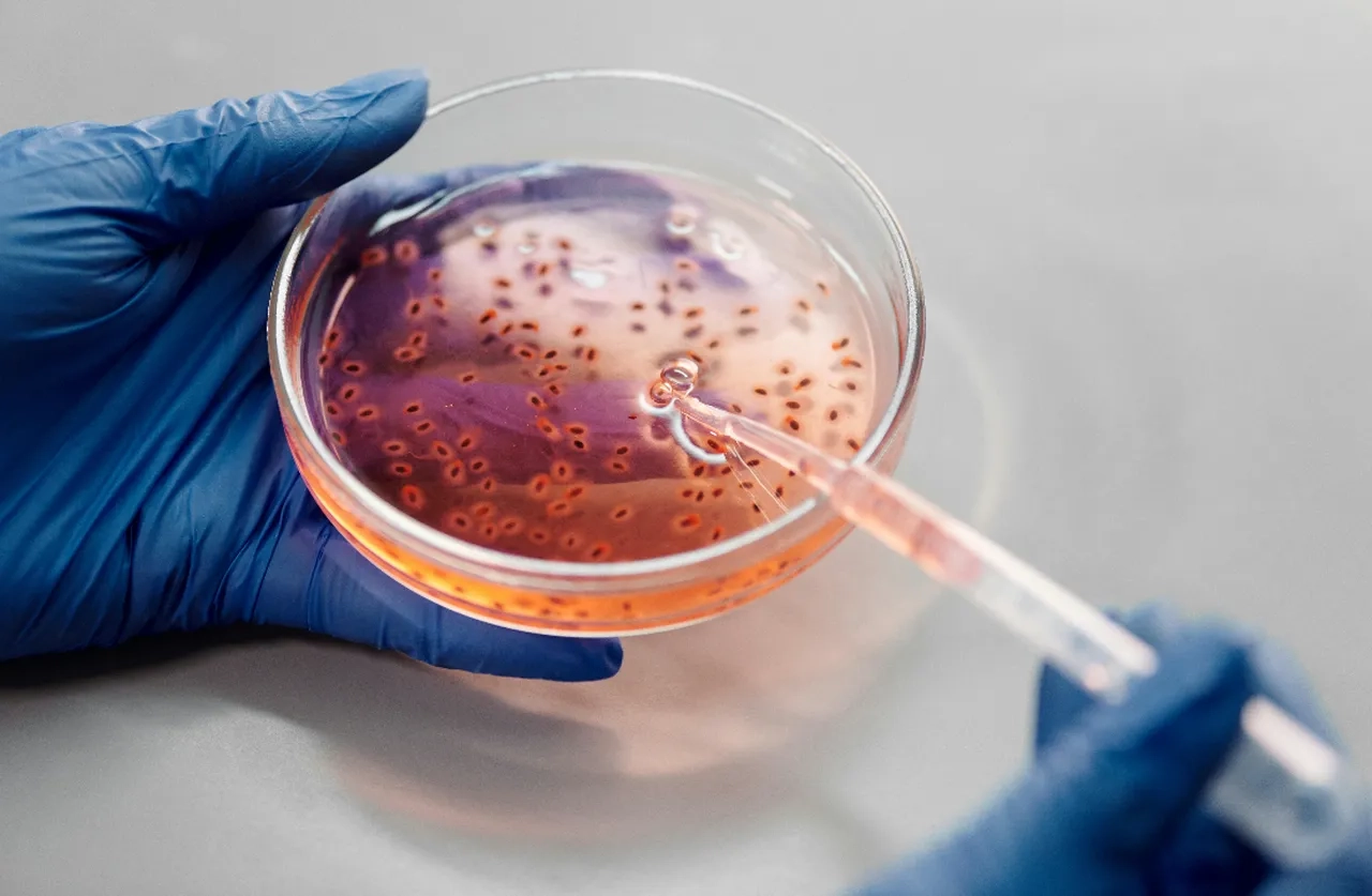 V&uuml;cudumuzdaki sessiz tehlike! Her 6 enfeksiyondan biri artık tedavi edilemiyor