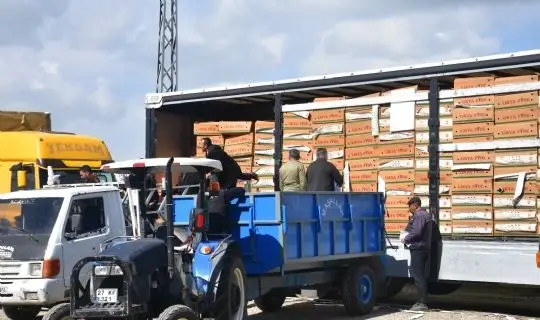 ŞAHİNBEY BELEDİYESİ’NİN ÇİFTÇİLERE  VERMİŞ OLDUĞU FİDE DESTEĞİ 33 MİLYONU BULDU