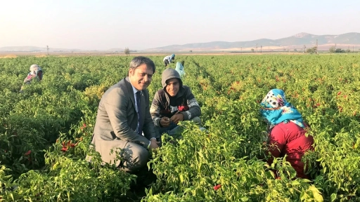 AK Parti Milletvekili Ali Şahin: "Gaziantep’in Tarım Potansiyelini Geliştirmeye Devam Edeceğiz"