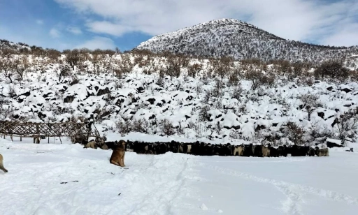 Botan Vadisi Karla Beyaza B&uuml;r&uuml;nd&uuml;