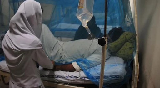 DS&Ouml;&rsquo;den Nipah Vir&uuml;s&uuml; Uyarısı: &Ouml;l&uuml;m Oranı Y&uuml;zde 75&rsquo;e Kadar &Ccedil;ıkıyor