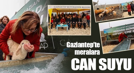 Fatma Şahin: &ldquo;Can Allah&rsquo;ın emanetidir&rdquo; Nurdağı&rsquo;nda g&uuml;neş enerjili su kuyuları hayata ge&ccedil;iriliyor