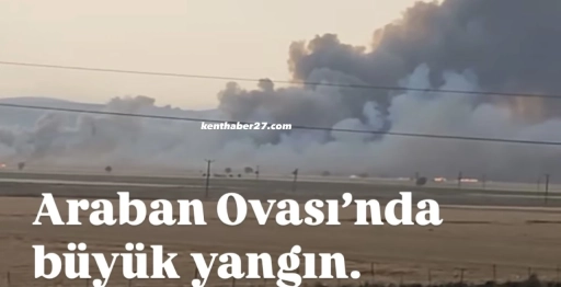 Gaziantep Araban’da Buğday Tarlalarını Küle Çeviren Yangın: 1.100 Dönüm Alan Zarar Gördü