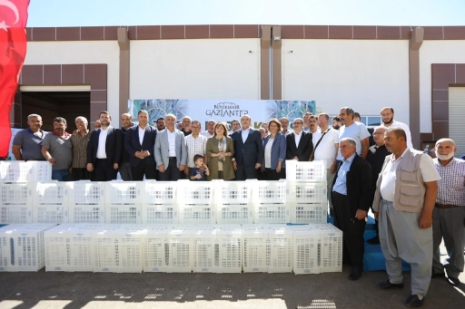 Gaziantep B&uuml;y&uuml;kşehir&rsquo;den Nizipli &Ccedil;ift&ccedil;ilere Kapsamlı Tarım Desteği