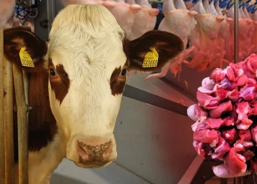 Gaziantep&rsquo;te Et Fiyatları ve Arz G&uuml;vencesi, Fırsat&ccedil;ılara İzin Verilmeyecek