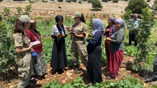 Gaziantep’te Jandarma Uyardı! Cezai İşlem Uygulanacak