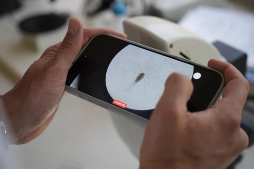 Gaziantep'te kuraklığın ardından sinek istilası başladı