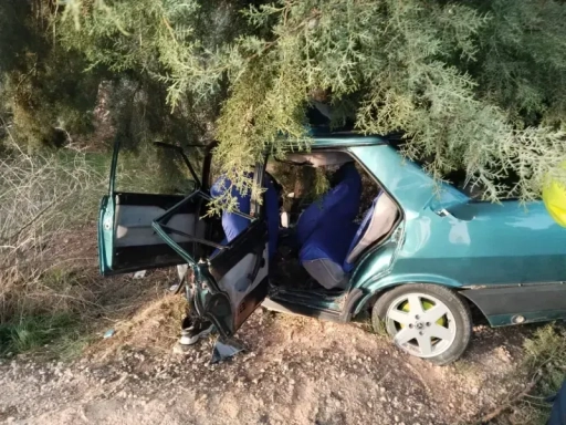 Gaziantep'te otomobil ağaca çarptı: 2 yaralı