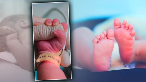 Gaziantep ve T&uuml;rkiye&rsquo;de Alparslan&rsquo;lar &ccedil;oğalıyor