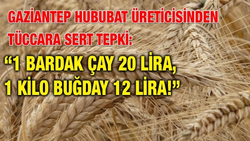 Gaziantepli Buğday Üreticisinden Tüccarlara Tepki: “1 Bardak Çay 20 Lira, 1 Kilo Buğday 12 Lira!”