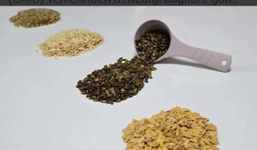 Güneydoğu’dan Afrika’ya Hububat İhracatı Yüzde 18,9 Arttı