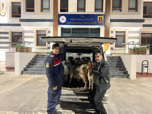 Jandarmadan Sahte Para Operasyonu: Dolandırıcılar Su&ccedil;&uuml;st&uuml; Yakalandı