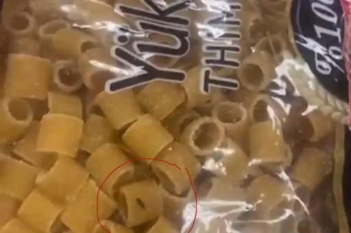 Makarnadan Çıkan Böcek Krizi! Şahinbey Belediyesi Hızla Müdahale Etti
