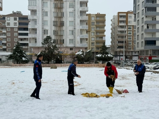 Nizip'te karla m&uuml;cadele s&uuml;rerken can dostları  unutulmadı