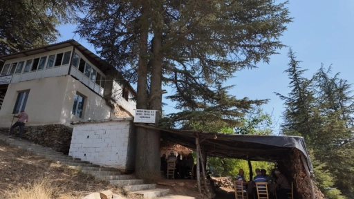 Odun Ateşinde Çay