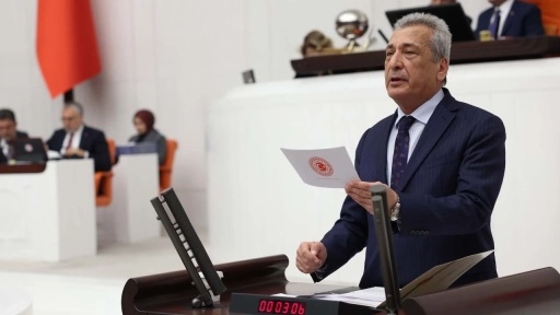 Öztürkmen: Ormanlarımız Bakanlık Eliyle Yağmalanıyor
