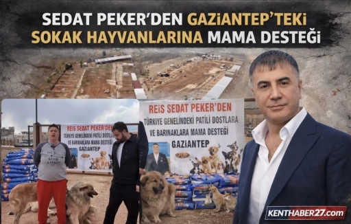 Sedat Peker&rsquo;den Gaziantep&rsquo;teki Sokak Hayvanlarına Mama Desteği